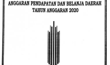 PERDA APBD 2020