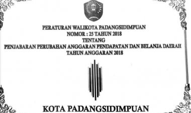 PERWAL 25 PENJABARAN PABD 2018