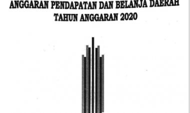PERDA NO 1 THN 2020