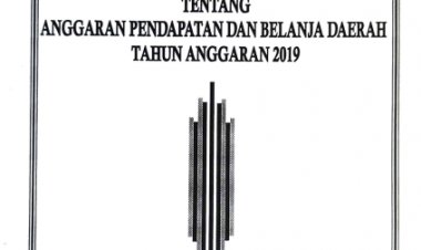 RANCANGAN PERDA KOTA TENTANG PABD 2019