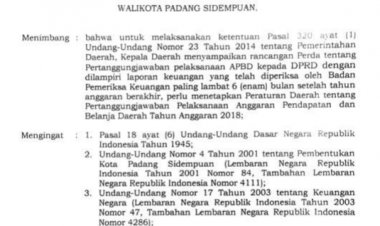 PERDA NO 3 2019 PERTAnggung jawaban pelaksannaa APBD 2019