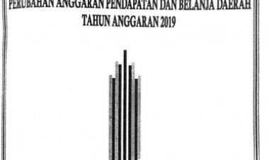 PERDA NO 4 THN 2019 TENTANG PAPBD 2019