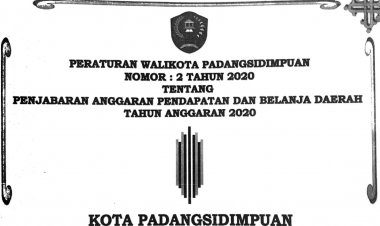 perwal psp no 2 thn 2020 tentang penjabaran apbd 2020