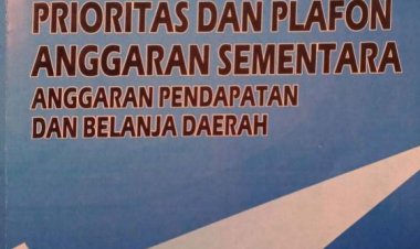 prioritas dan plafon anggran 2020