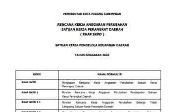 RKA Perubahan PPKD Thn 2020