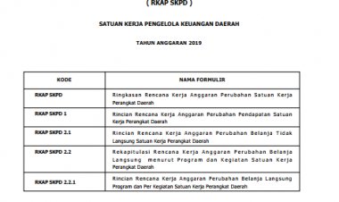 RKA Perubahan PPKD thn 2019