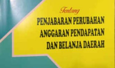 DOKUMEN PENJABARAN PERUBAHAN APBD 2021