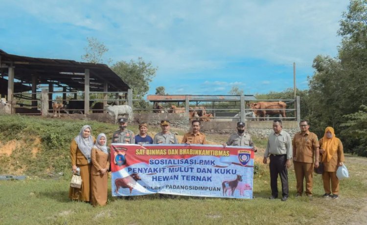 Dinas Pertanian Kota Padang Sidempuan Lakukan Monitoring Kesejumlah Kandang Hewan Ternak Milik Warga