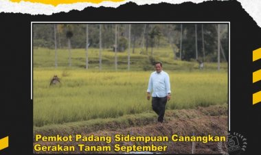 Gerakan Tanam September yang dicanangkan Pemko Padang Sidempuan dalam rangka pemenuhuan suplai kebutuhan komoditi menghadapi Natal 2022 dan Tahun Baru 2023, mendapat dukungan antusias dari petani dan pemilik lahan
