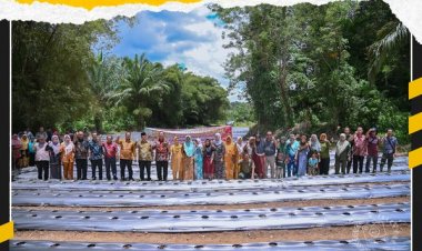 Kelompok Wanita Tani (KWT) Martabe Desa Bargot Topong Kecamatan Padang Sidempuan Batunadua melaksanakan pertanaman Cabai Merah