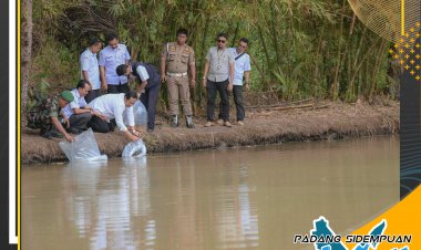 Walikota Lepas 25 Ribu Bibit Ikan Mas dan Ikan Nila di Desa Simirik