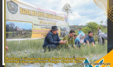 Wali Kota Laksanakan Panen Raya Bawang Merah di Desa Aek Najaji