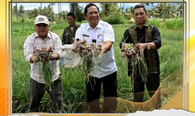 Wali Kota Padang Sidempuan dan Rektor UISU Panen Bawang Merah Wujudkan Sinergitas