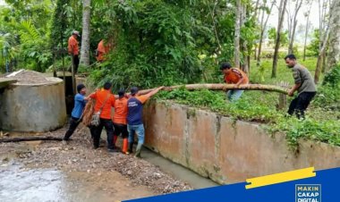 BPBD Kota Padang Sidempuan Lakukan Survei Ke Hulu Sungai Aek Aloban Pasca Banjir