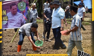 Poktan satahi Bargot Topong Kembangkan Bawang Merah