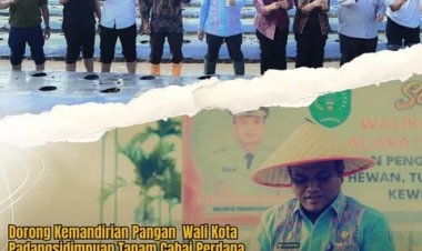 Dorong Kemandirian Pangan Wali Kota Padangsidimpuan Tanam Cabai Perdana di Desa Manunggang Jae.