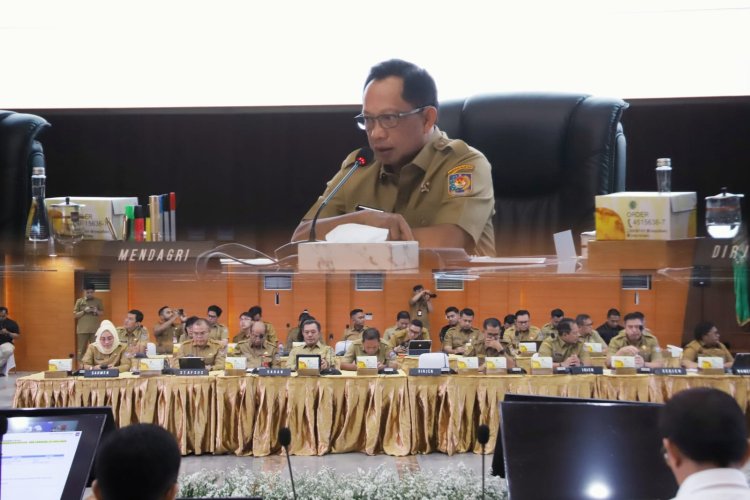 Perkuat Ketahanan Pangan, Mendagri Tekankan Pentingnya Cadangan Pangan Pemerintah Daerah