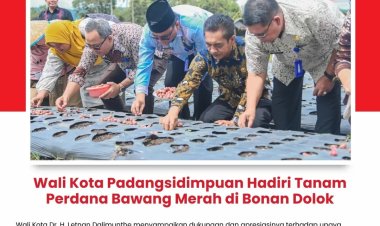 Wali Kota Padangsidimpuan Hadiri Tanam Perdana Bawang Merah di Bonan Dolok