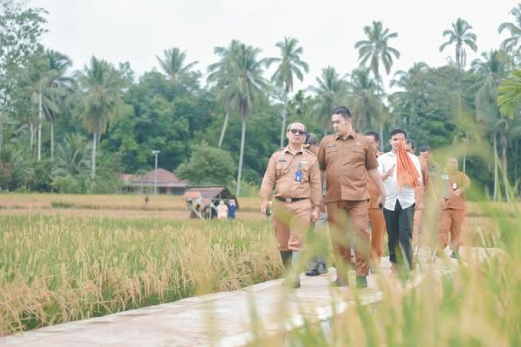 Plt. Sekda Padangsidimpuan Tinjau Lahan Pertanian di Manunggang Jae Jelang Panen Raya