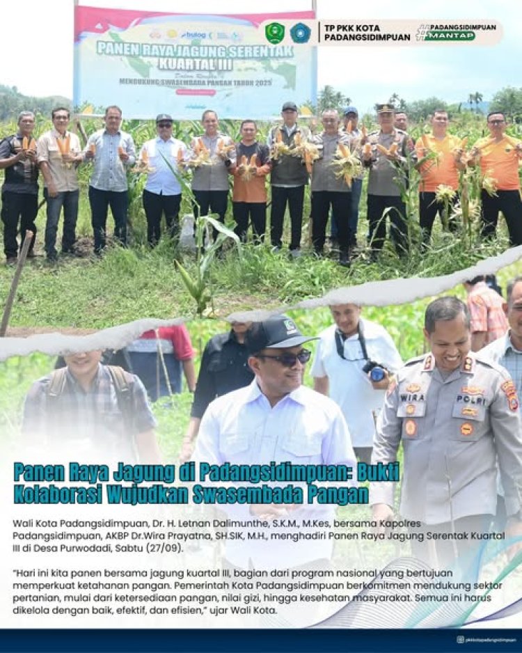 Panen Raya Jagung di Padangsidimpuan: Bukti Kolaborasi Wujudkan Swasembada Pangan