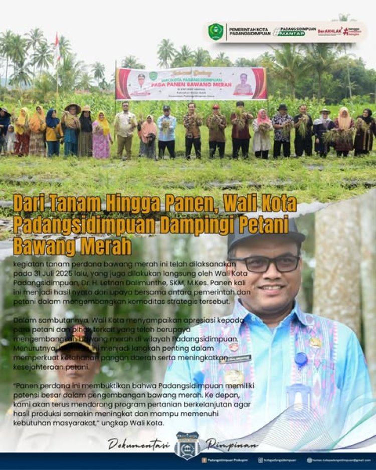 Dari Tanam Hingga Panen, Wali Kota Padangsidimpuan Dampingi Petani Bawang Merah