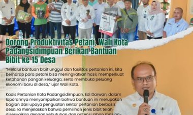 Dorong Produktivitas Petani, Wali Kota Padangsidimpuan Berikan Bantuan Bibit ke 15 Desa
