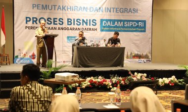 Pemda Perlu Perkuat Tata Kelola Keuangan yang Transparan, Akuntabel, dan Terintegrasi secara Nasional