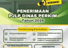 PENERIMAAN PJLP DINAS PERKIM 2026