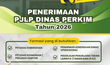 PENERIMAAN PJLP DINAS PERKIM 2026