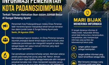 UPDATE INFORMASI PEMERINTAH KOTA PADANGSIDIMPUAN