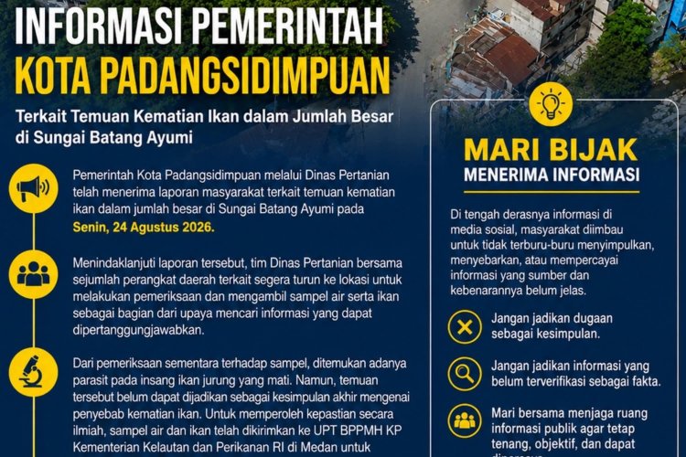 UPDATE INFORMASI PEMERINTAH KOTA PADANGSIDIMPUAN
